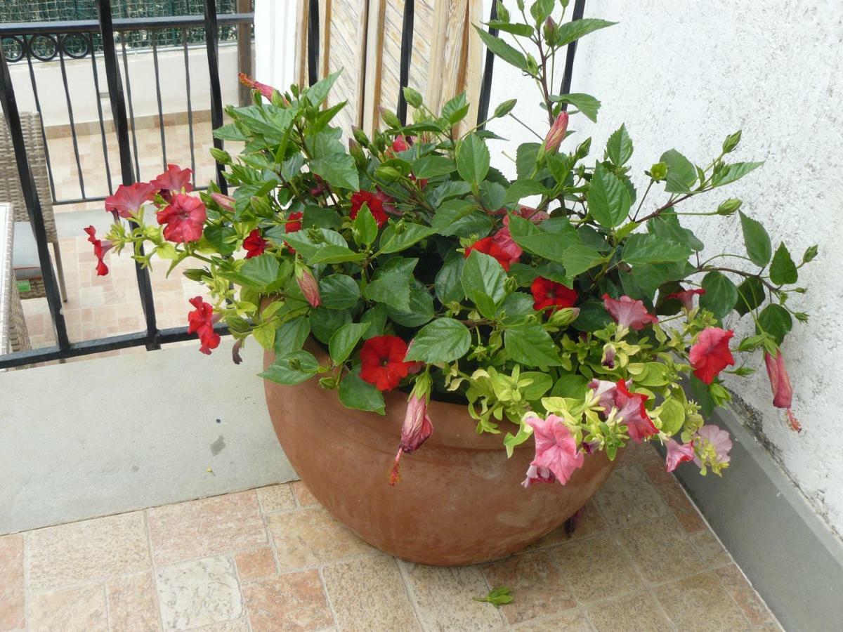 Bed and Breakfast Marywilliam Agropoli Exterior foto
