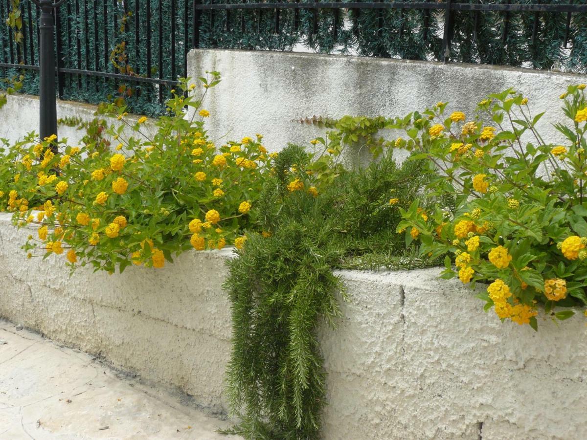 Bed and Breakfast Marywilliam Agropoli Exterior foto